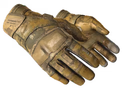 ★ Moto Gloves | Transport (Battle-Scarred)