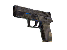 P250 | Exchanger (Field-Tested)