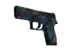 P250 | Ripple (Well-Worn)