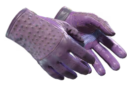 ★ Driver Gloves | Plum Quill (Well-Worn)